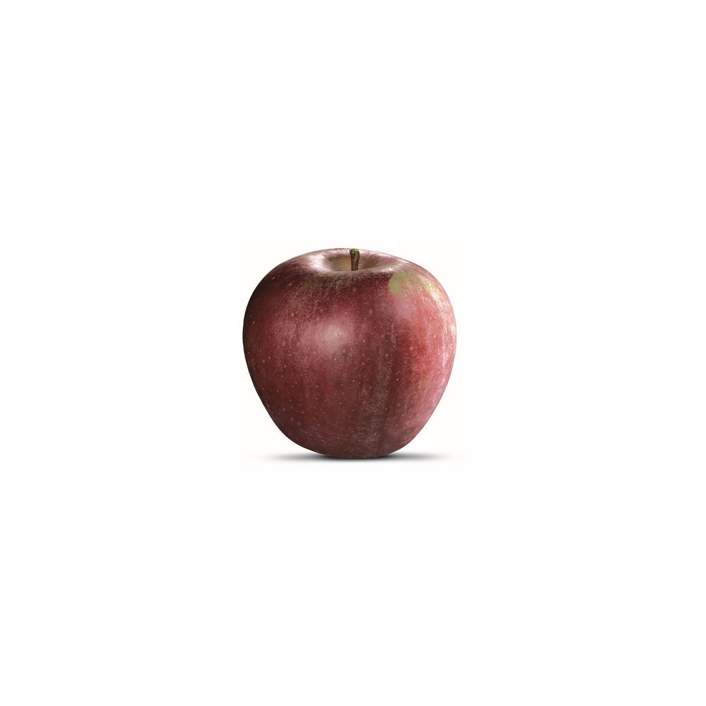 Stayman Winesap 