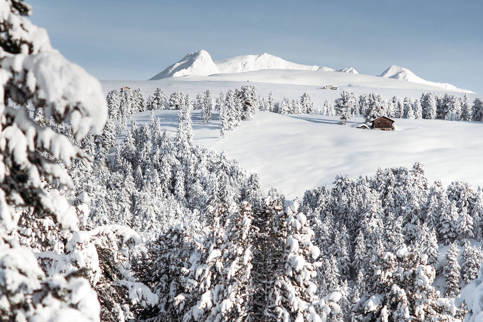 Villanderer Alm oberhalb von Klausen
