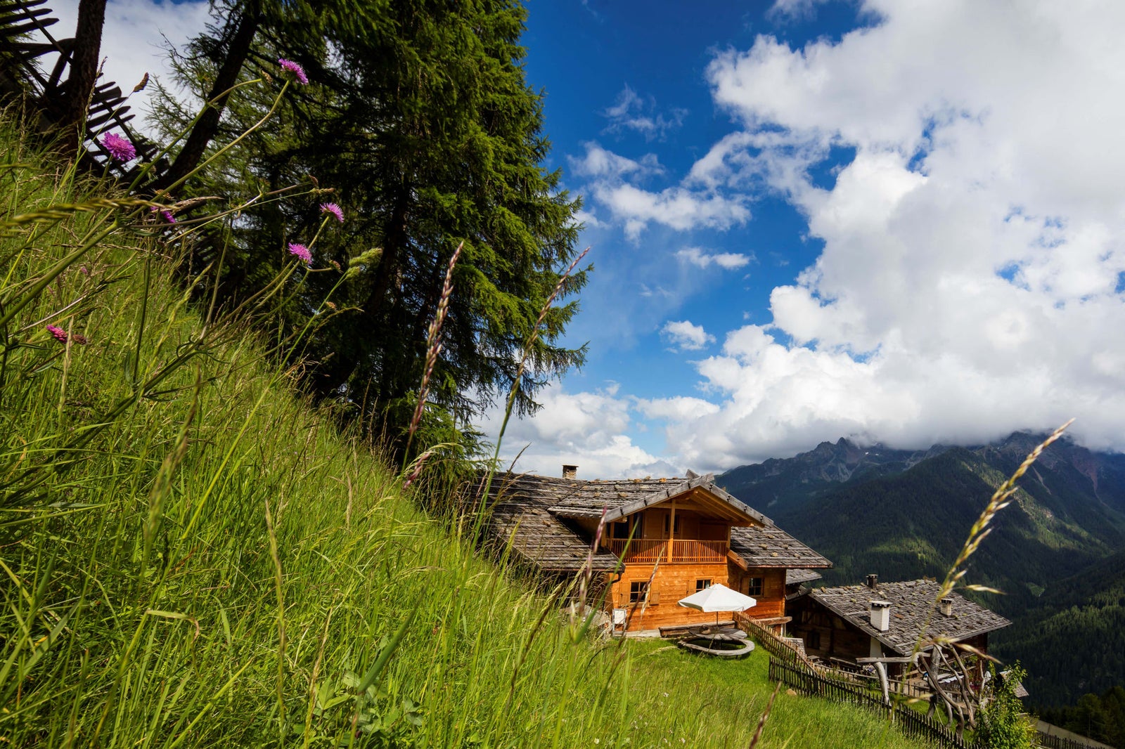 Urlaub auf dem Bauernhof - Roter Hahn
