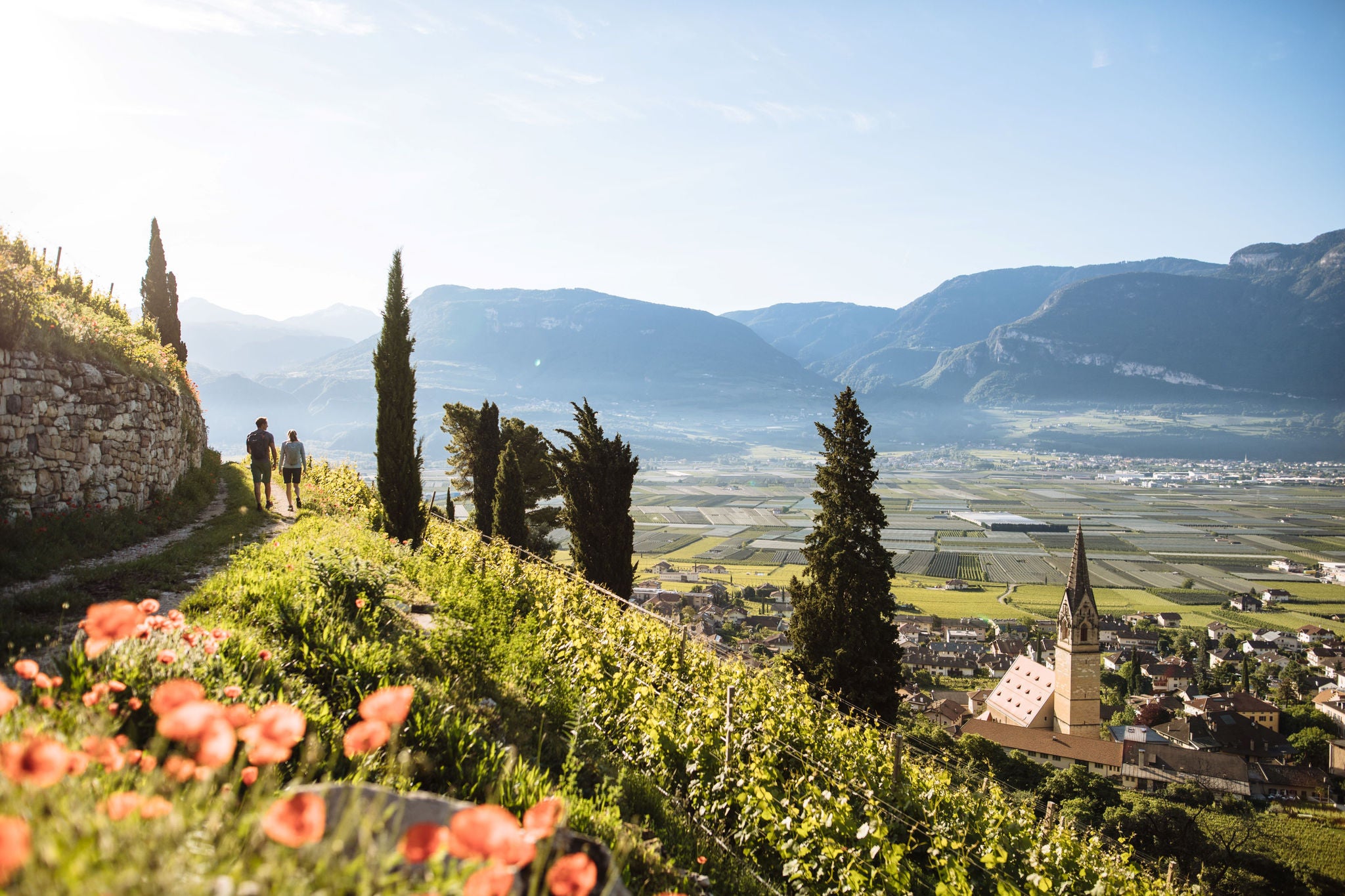 Tramin an der Südtiroler Weinstraße