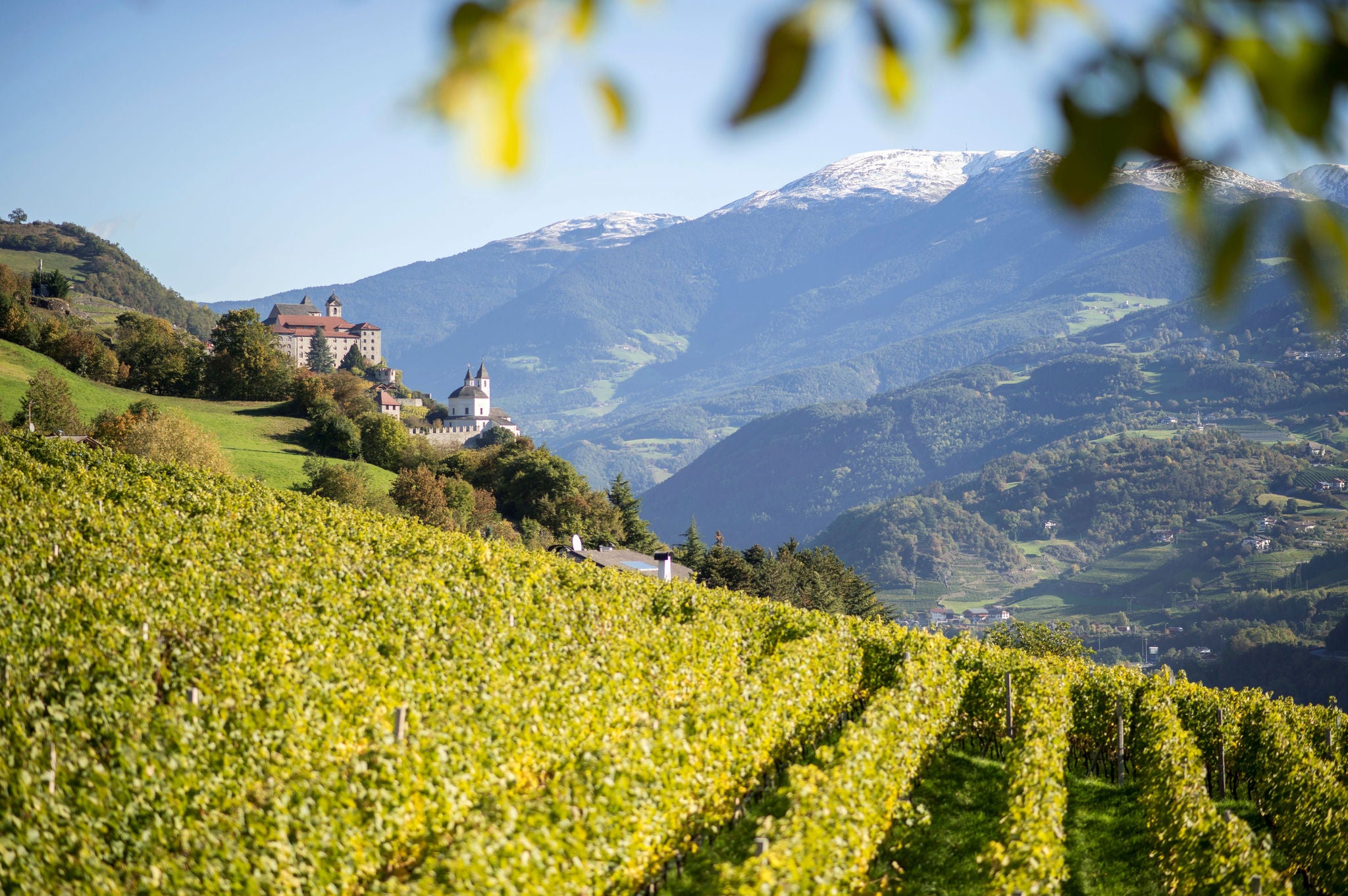Blick auf Kloster Säben mit Weinreben im Vordergrund und verschneiten Bergen im Hintergrund