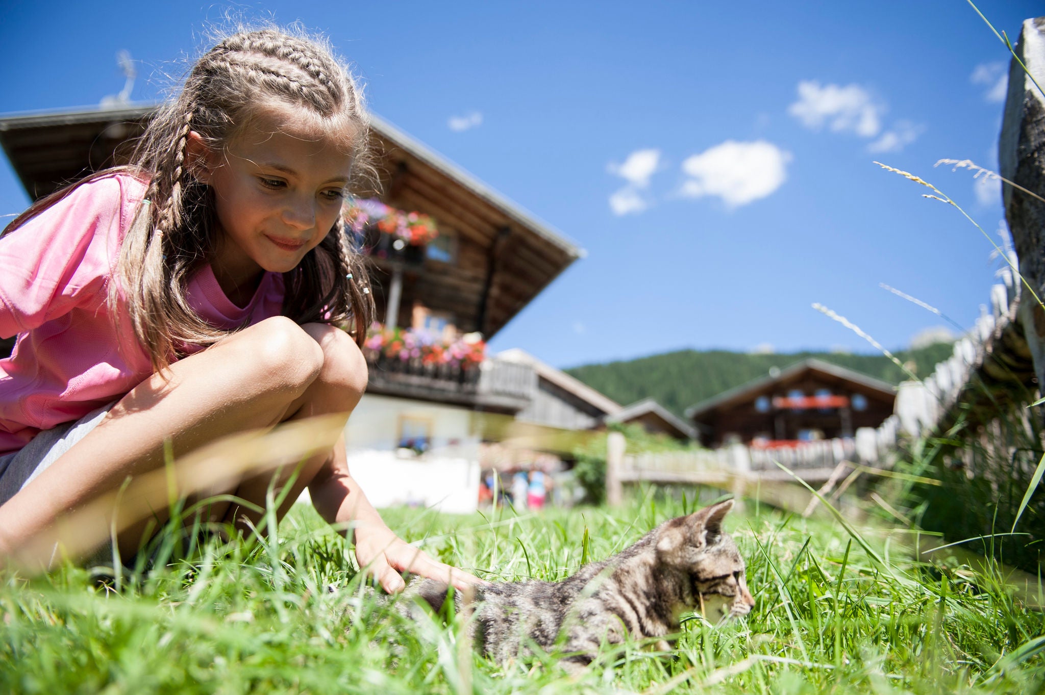 Ein Kind streichelt eine Katze auf einer Wiese im Sommer