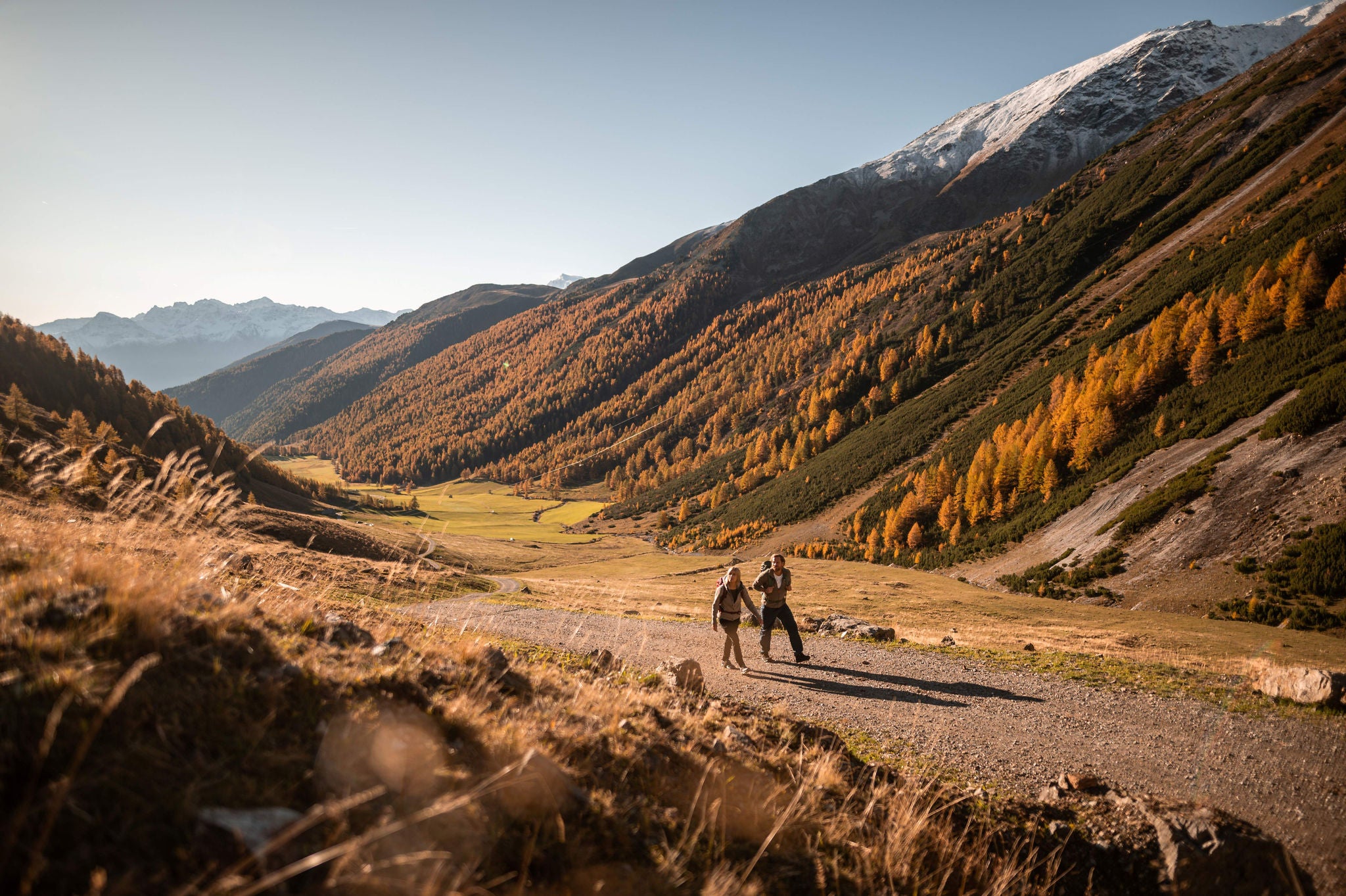 Den Bergherbst im Vinschgau erleben