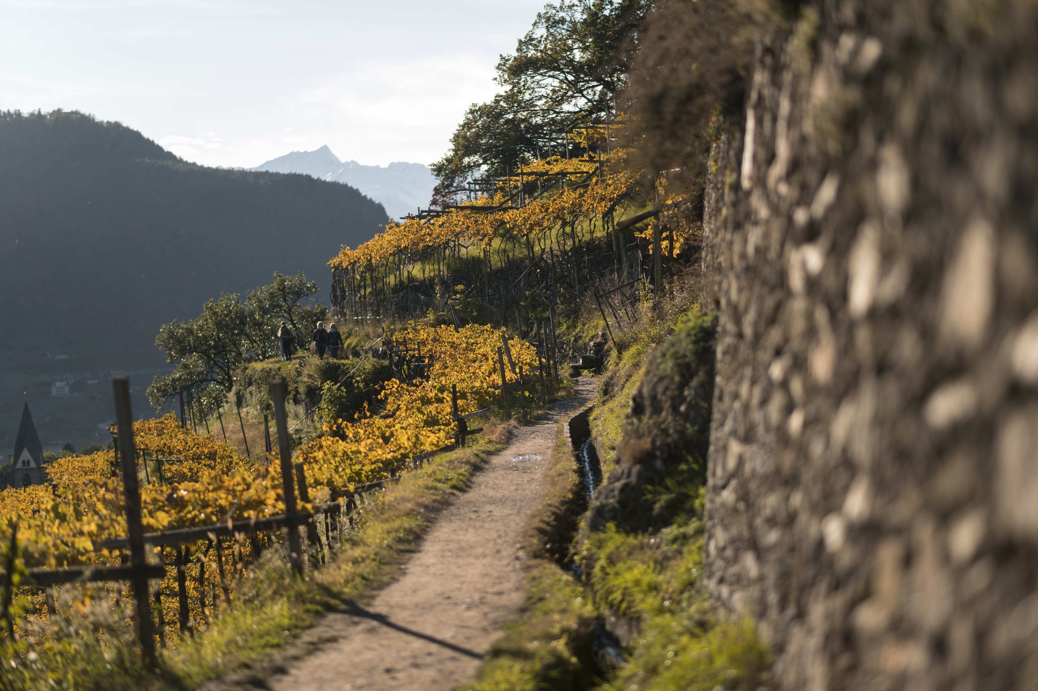 Algunder Waalweg | Sentiero della roggia Lagundo | Canal Trail Algund