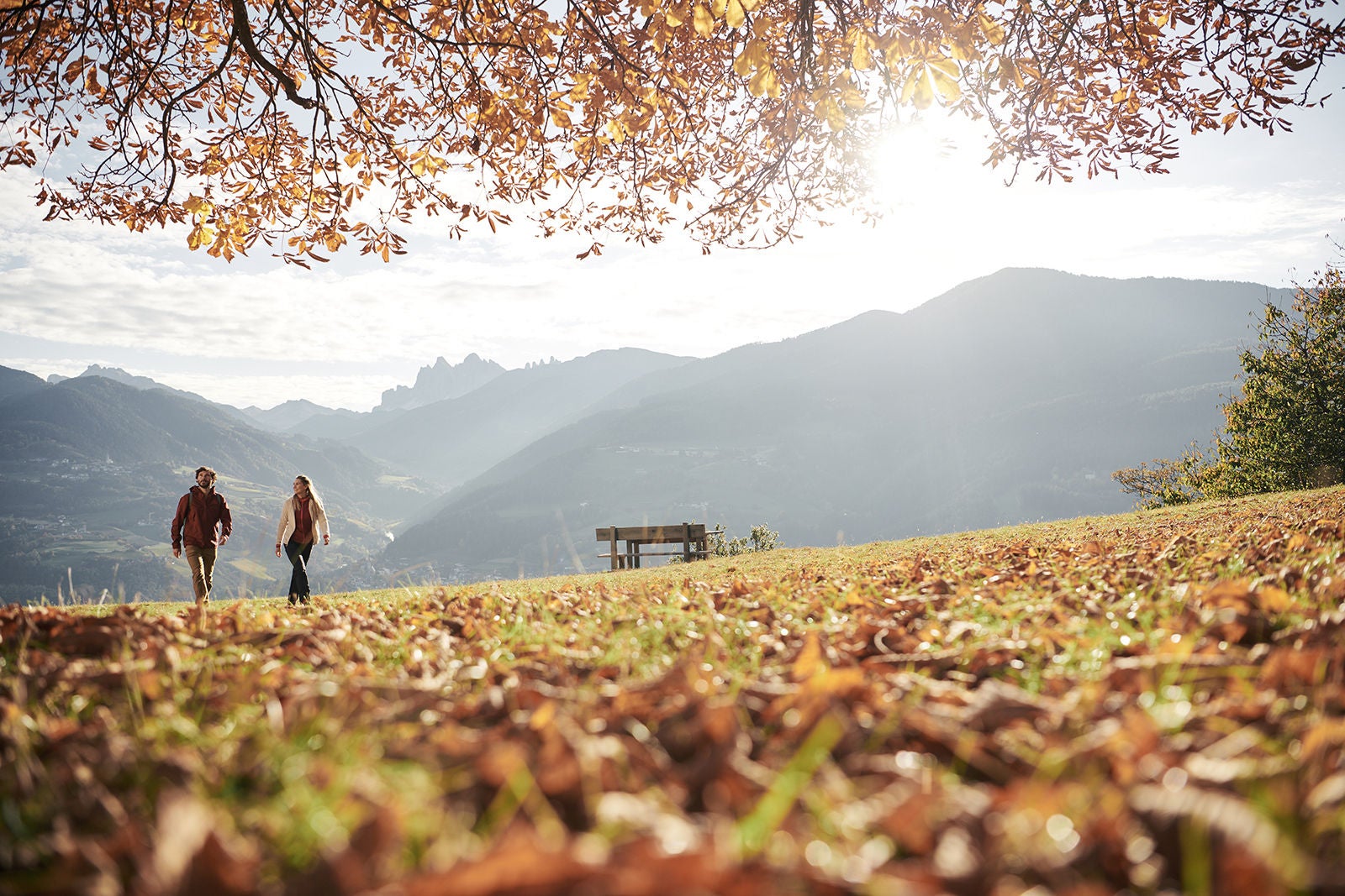 Zwei Personen wandern in der gold-gelben Landschaft durch den Eisacktaler Herbst