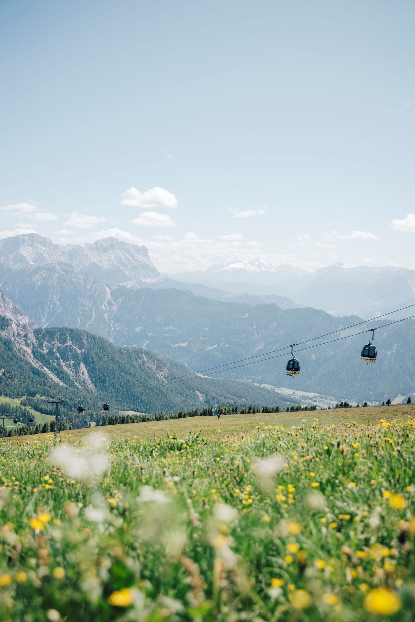 Gelb getupfte Blumenwiese am Kronplatz mit Gondeln und Berggipfeln im Hintergrund