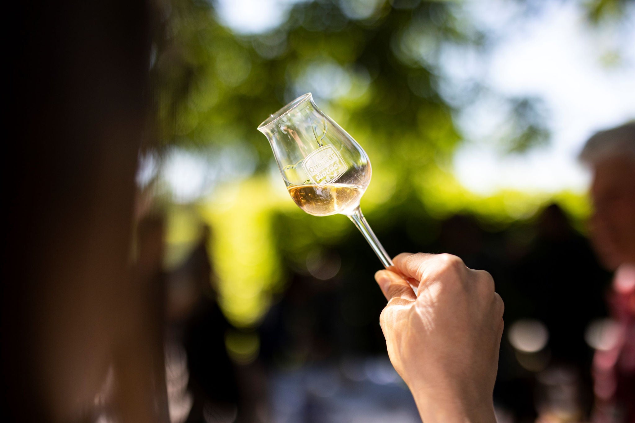 Eine Hand hält ein Glas Grappa