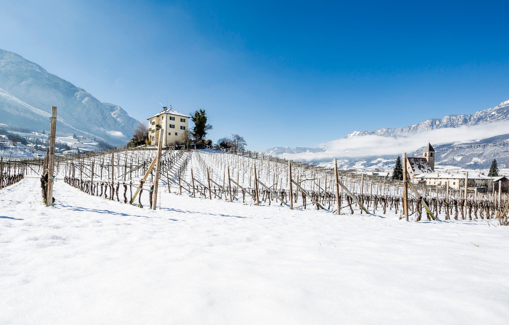 Südtiroler Weinstraße im Winter
