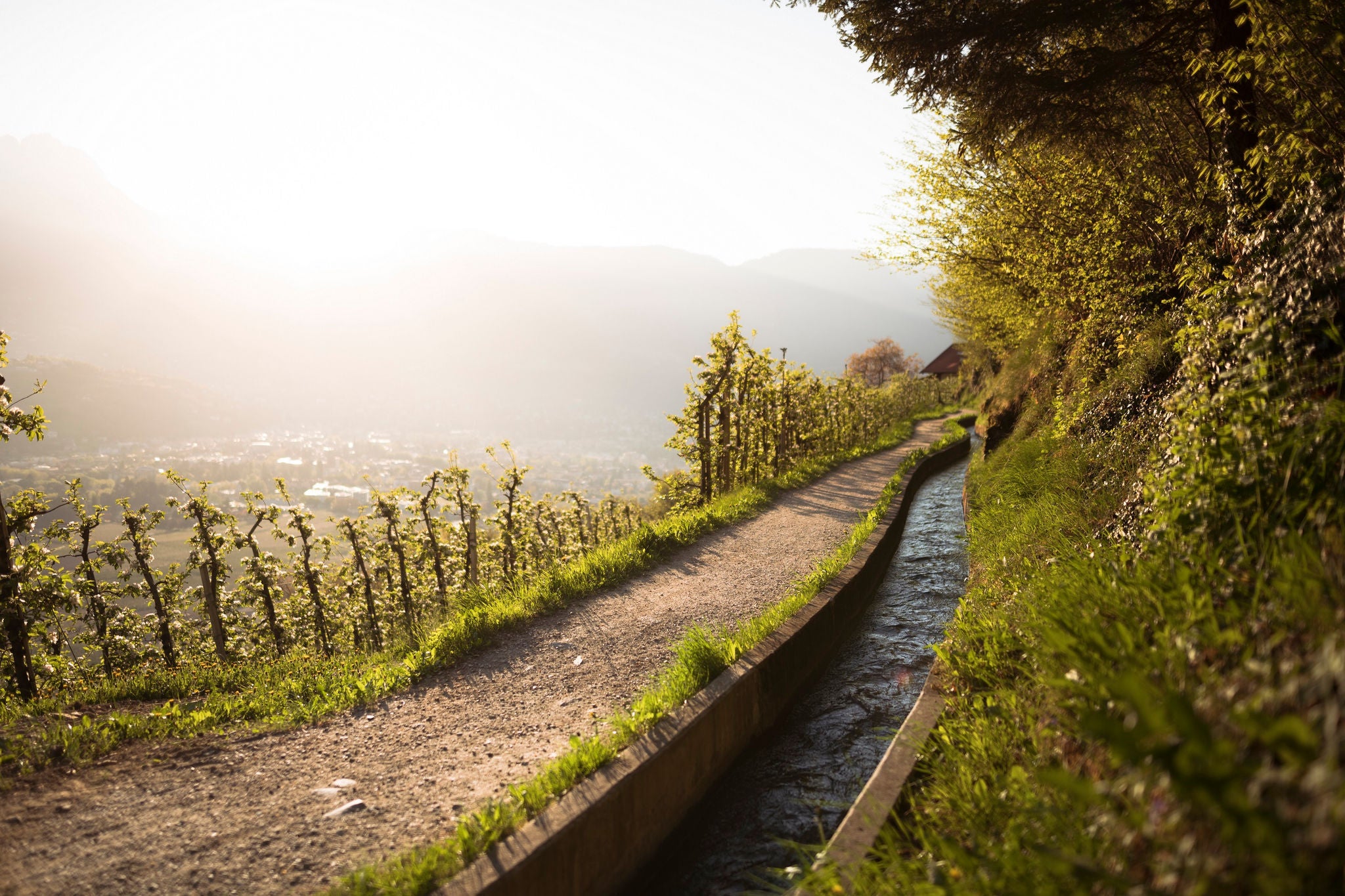 Marlinger Waalweg | Sentiero della roggia Marlengo | Canal trail Marling