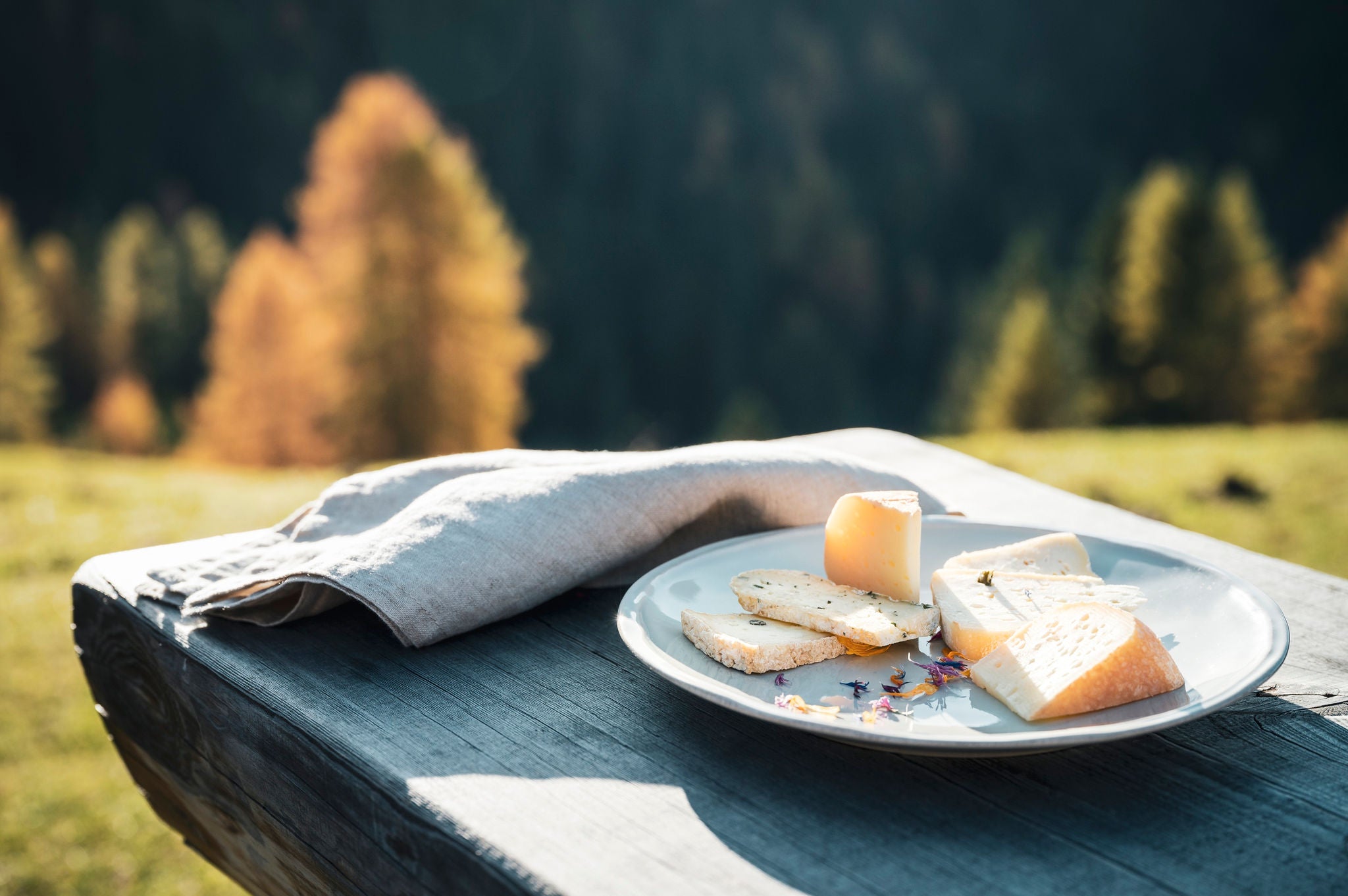 Alpine cheese