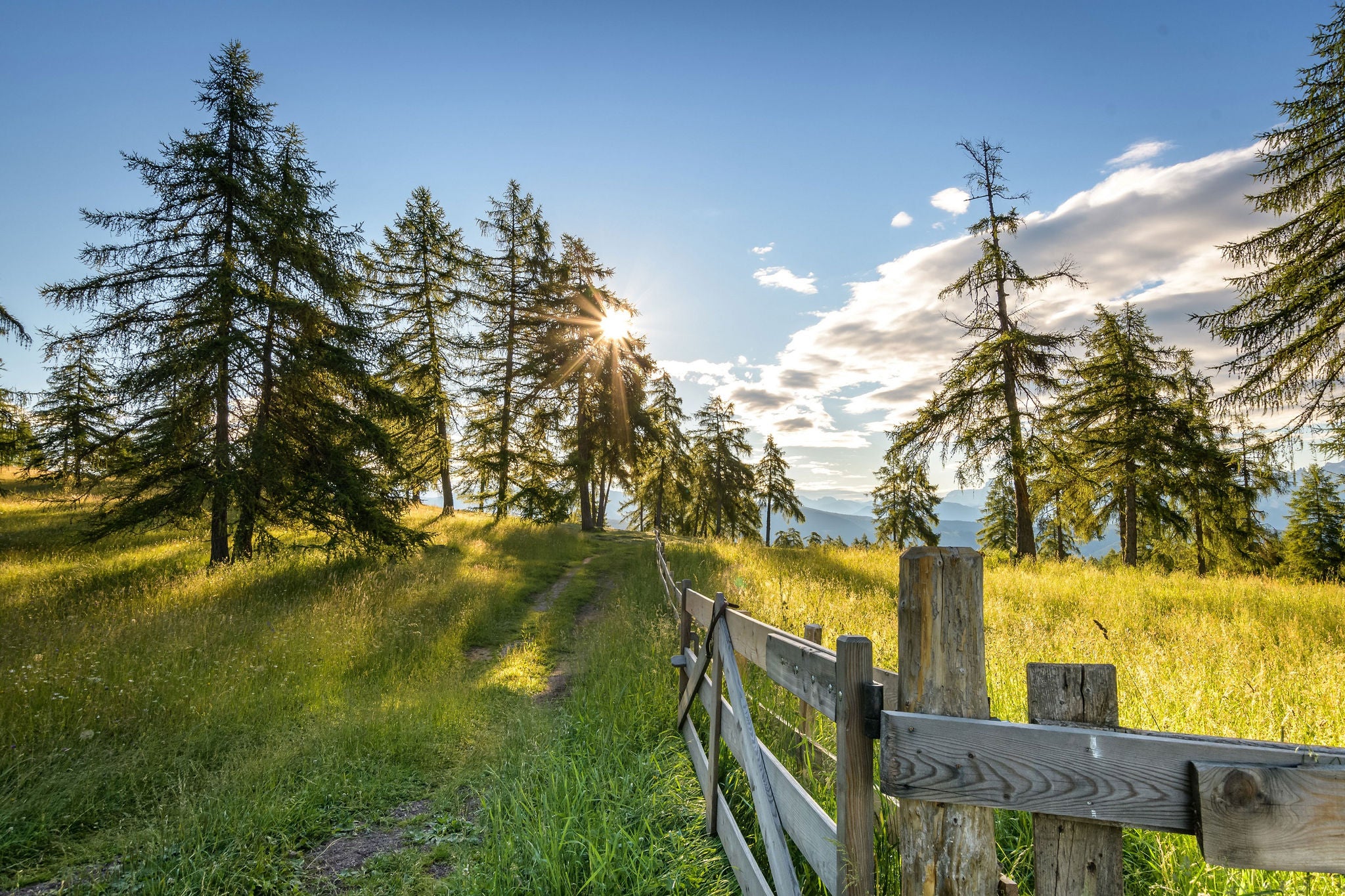 Eine Zaun entlang eines Pfades bei Jenesien im Sommer