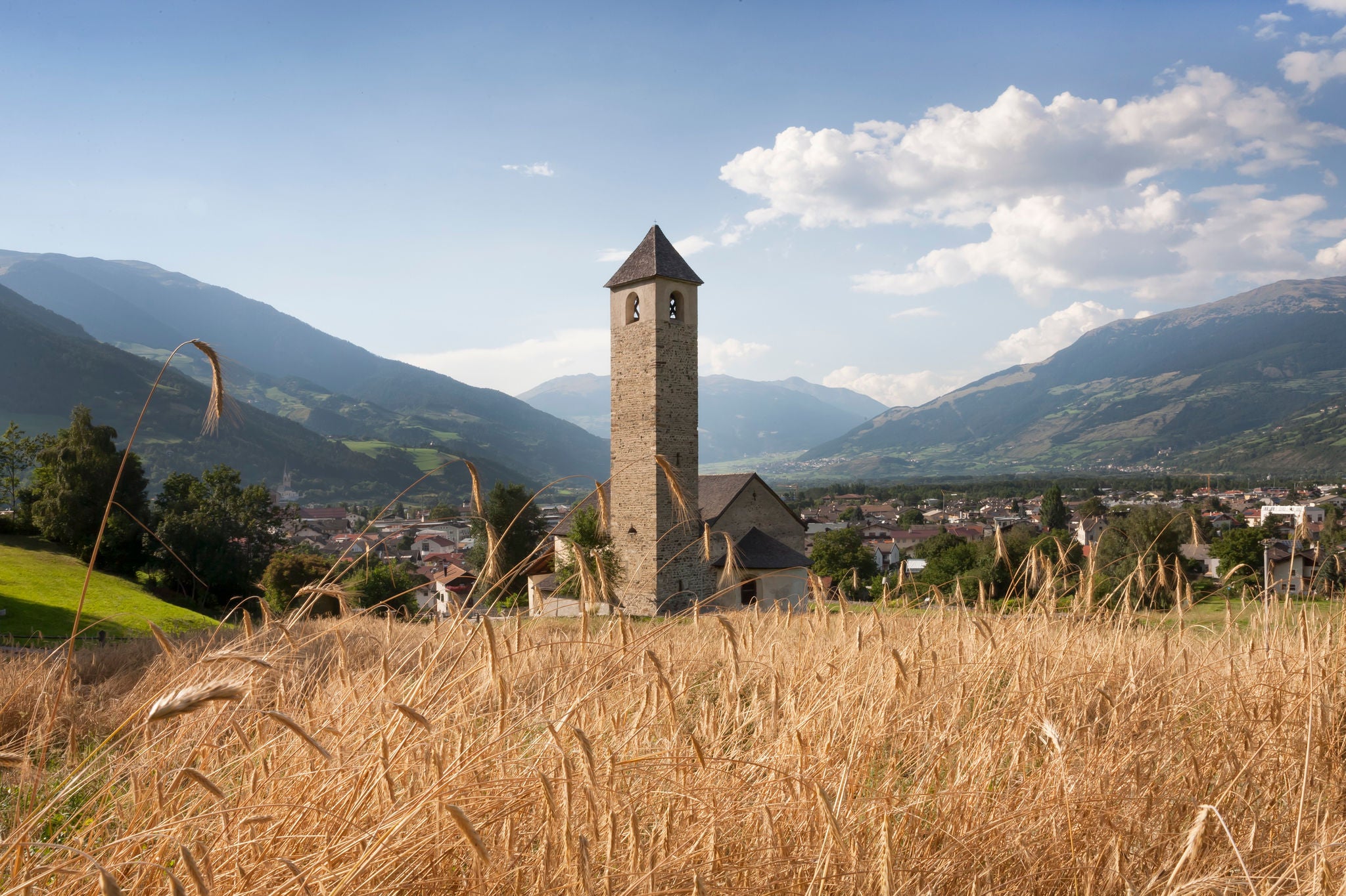 Suedtirol, Vinschgau, Prad, St.Johann, Getreidefeld des Winklhofes, backen Brot zum Verkauf, Regiokorn,
