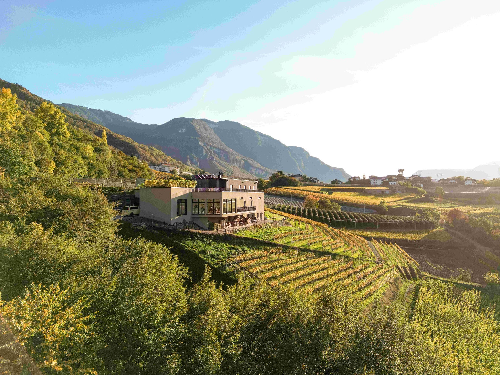 Weingut Pfitscher