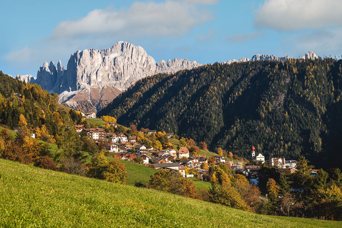 Tiers am Rosengarten im Herbst