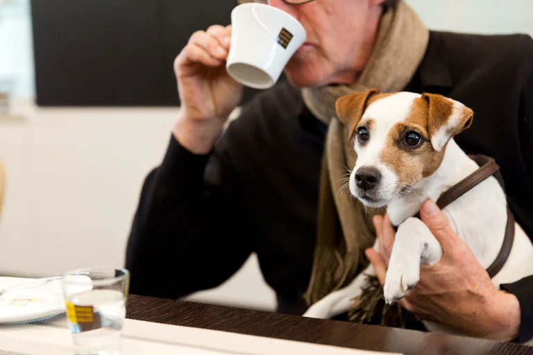 In vacanza con il cane