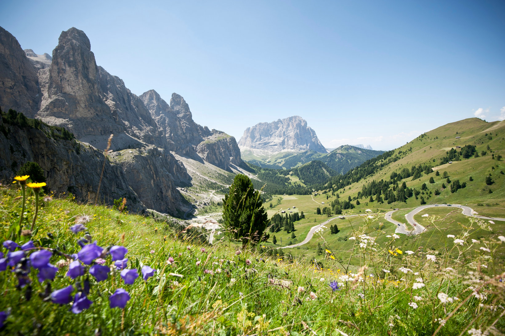 Un prato con fiori viola, gialli e bianchi con vista sulle cime delle montagne del Passo Gardena