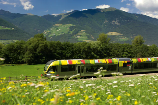 Le train Vinschgerbahn dans une prairie en fleurs