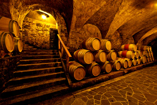 Vista sotterranea di una cantina vinicola con botti di legno