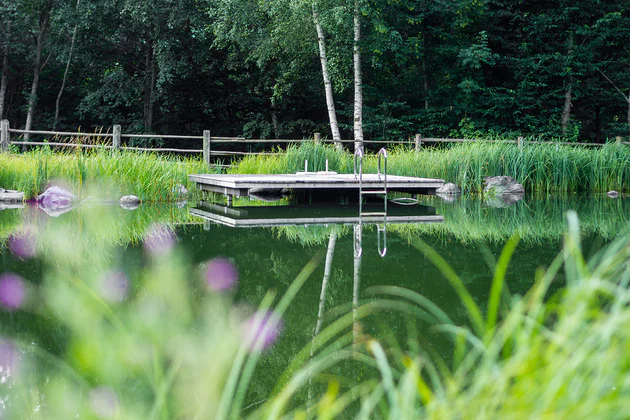 Natural swimming pond