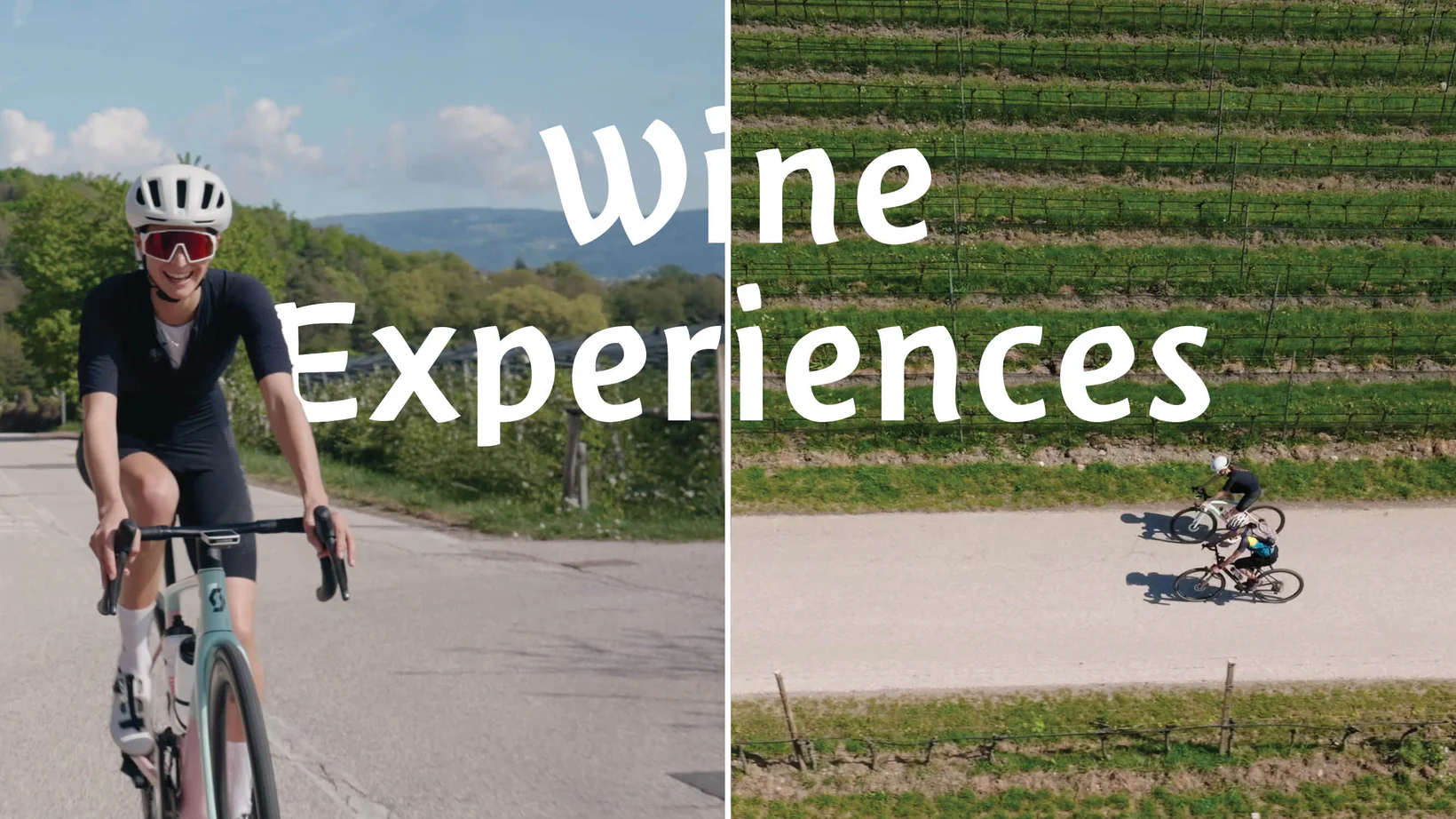 Cycling Through Vineyards
