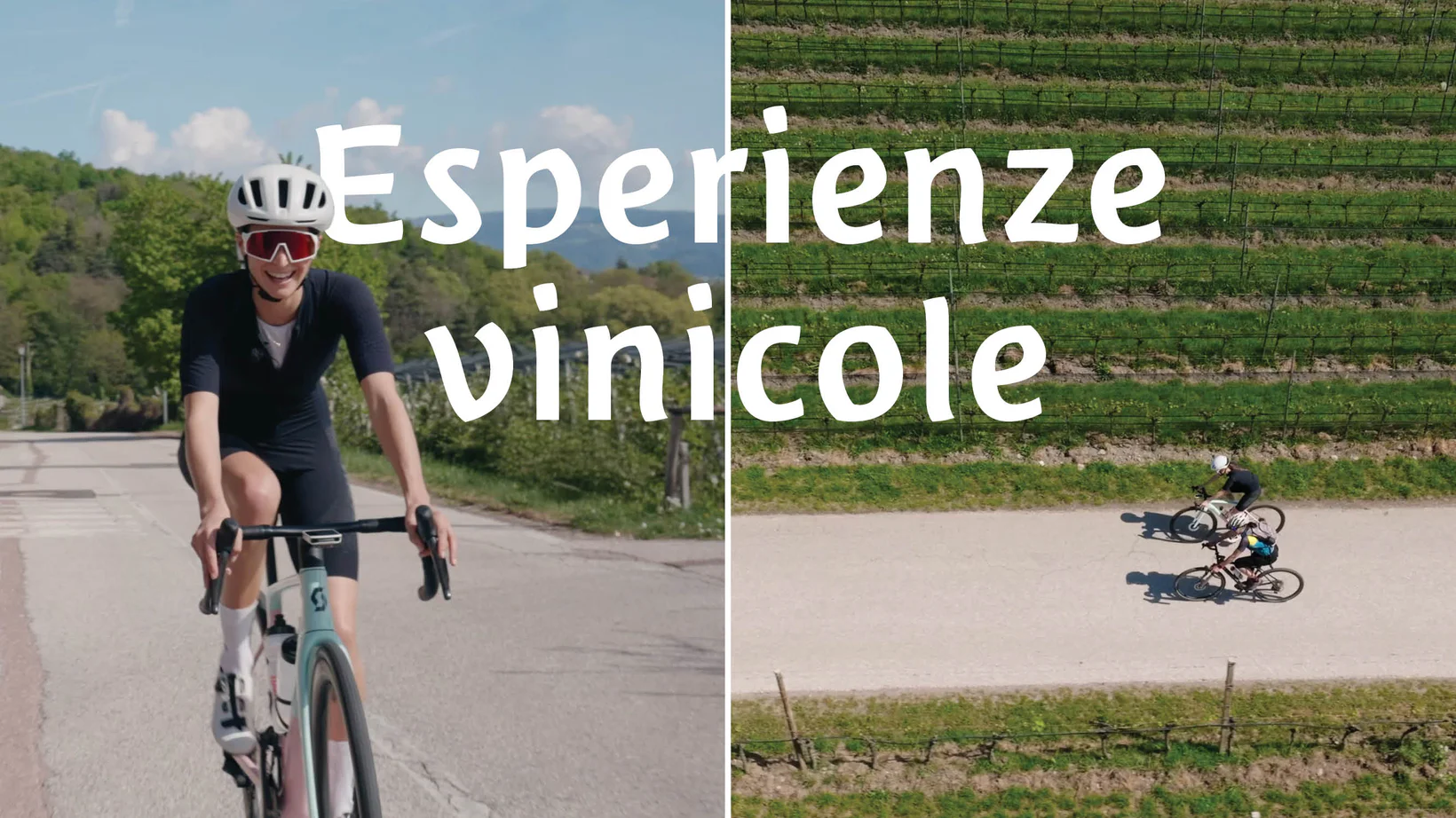 In bici tra i vigneti