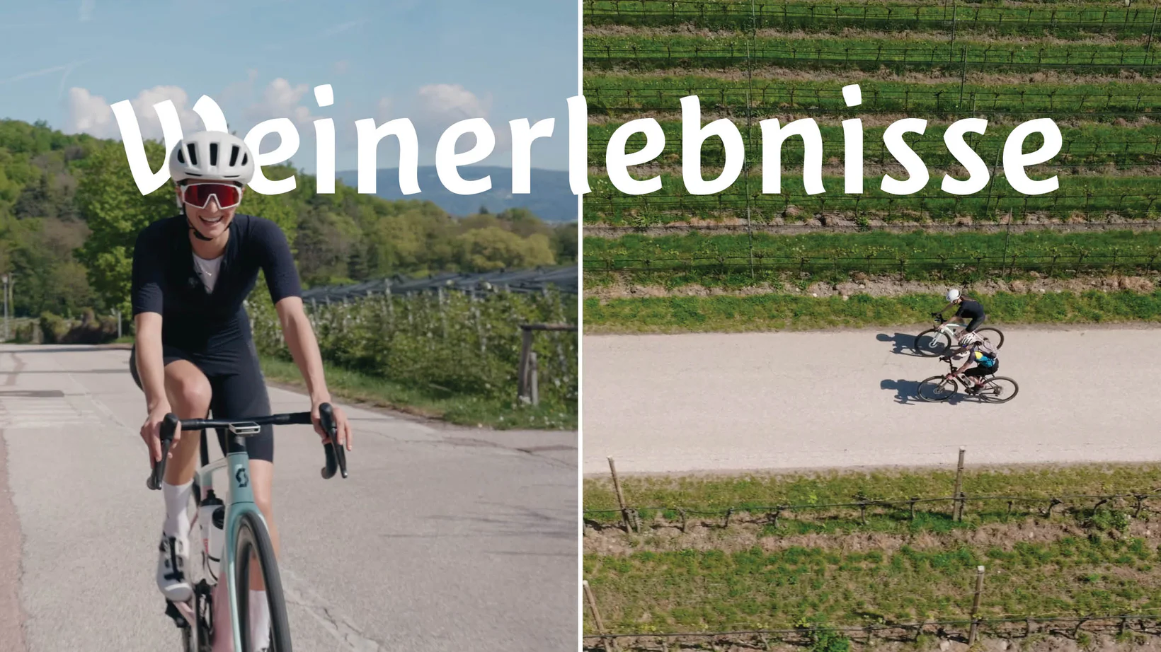 Mit dem Fahrrad durch die Weinberge