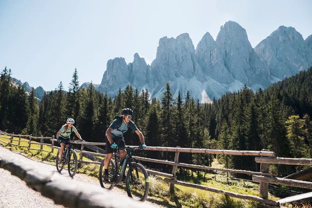 Zwei Mountainbiker auf einer hochgelegenen Wiese hinter Gräsern im Abendlicht.