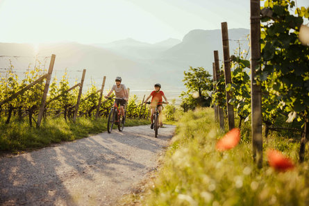 Due ciclisti sulla Strada del Vino Alto Adige