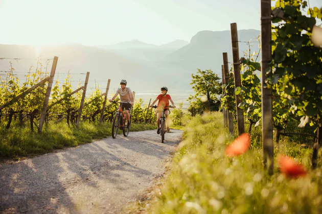 Cycle route network in South Tyrol All stages