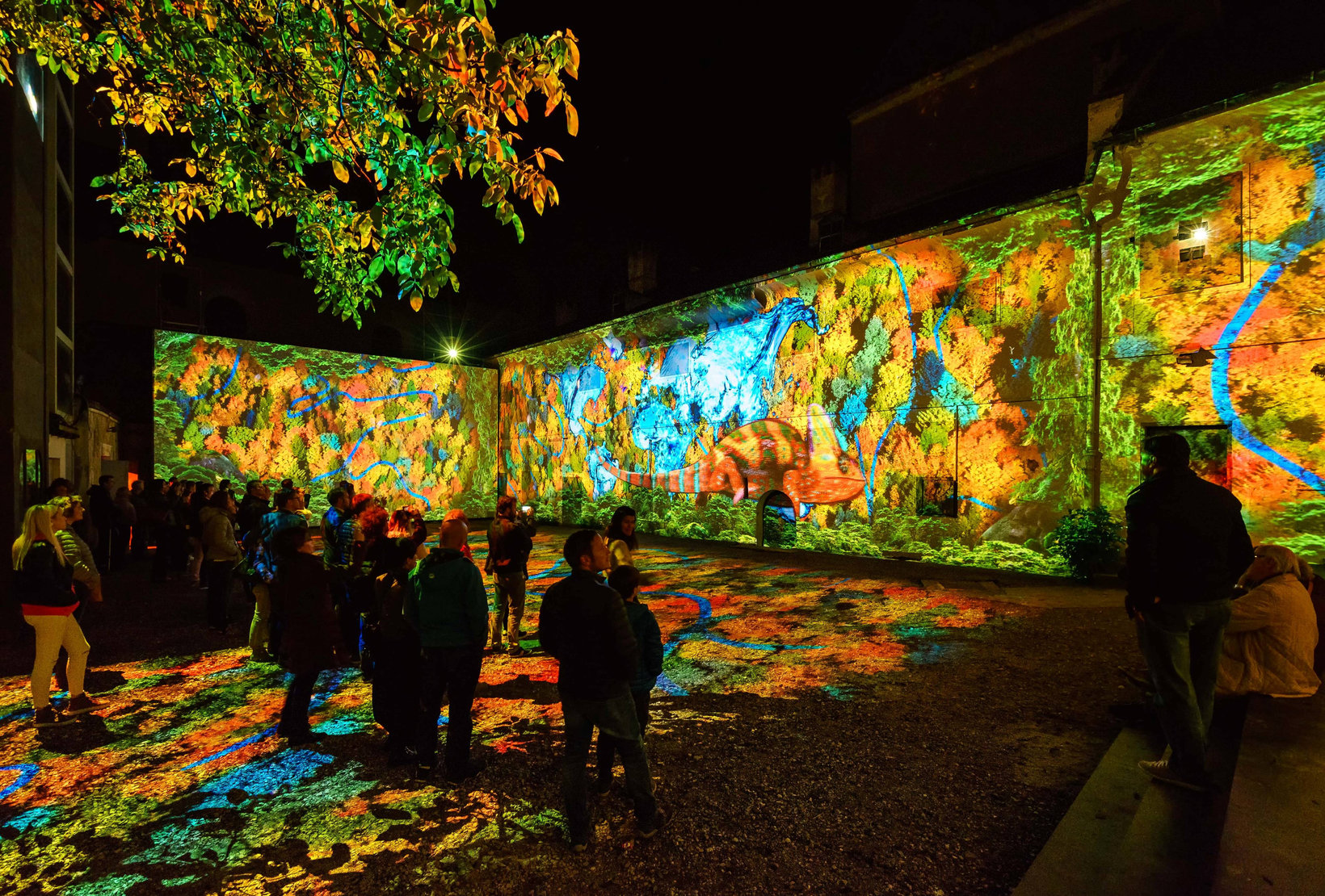 Water light Festival