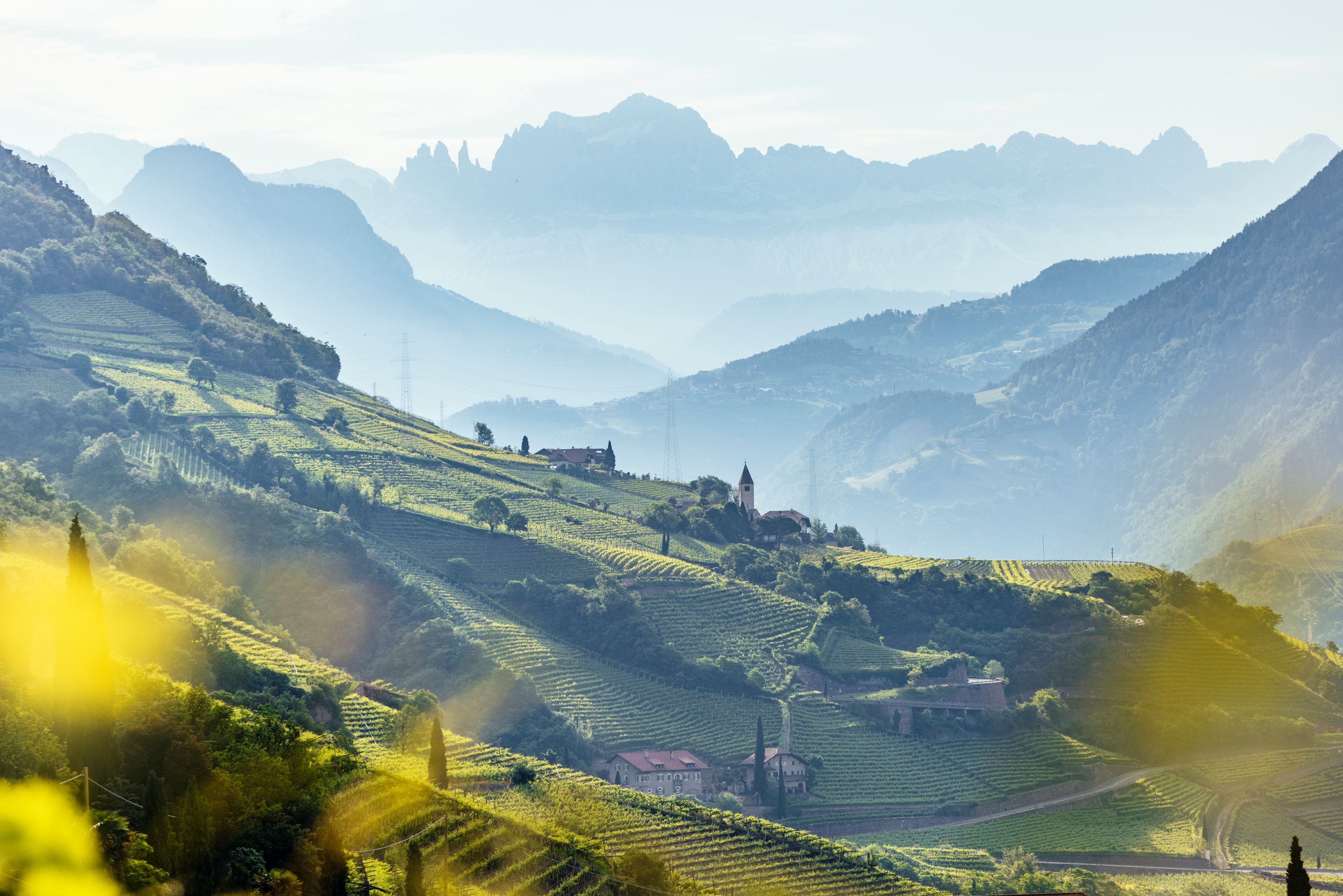 Paesaggio montano e vitivinicolo