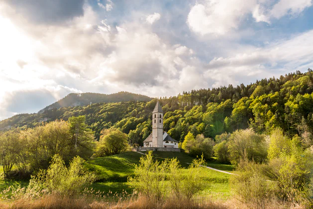 Paesaggio estivo con una chiesa attorniata dal bosco