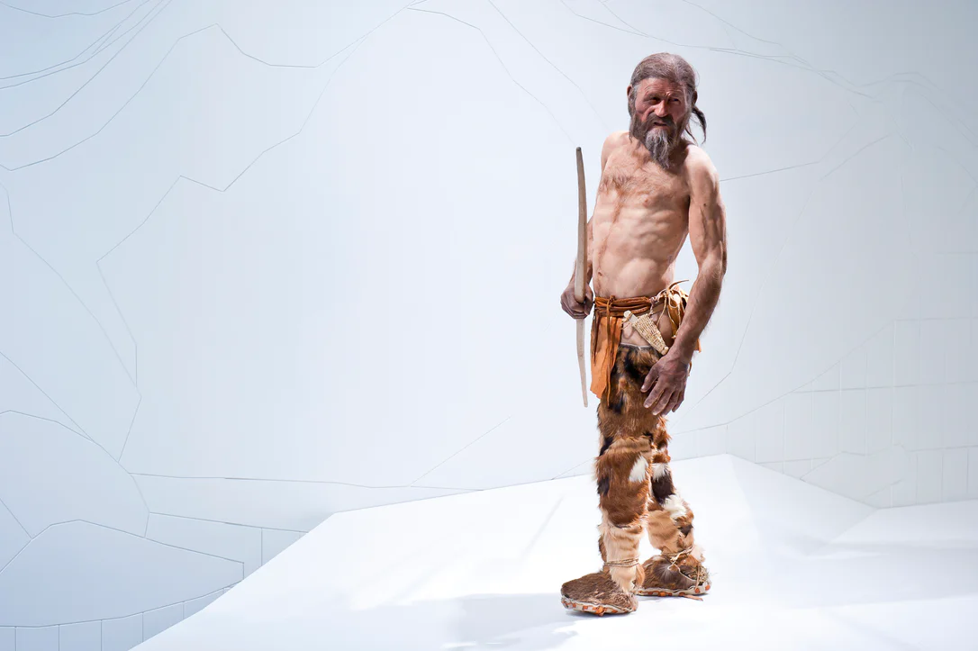 Ricostruzione plastica del uomo del ghiaccio Ötzi esposta nel Museo dell'Archeologia dell'Alto Adige di Bolzano