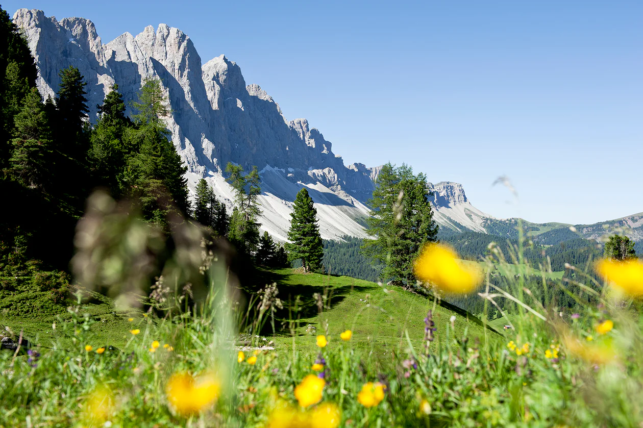 Parchi Naturali e Parco Nazionale dello Stelvio