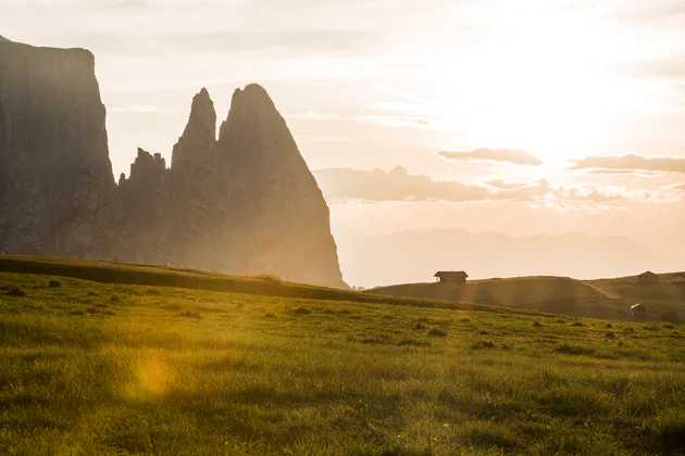 Blick auf eine grüne Bergwiese bei Sonnenuntergang