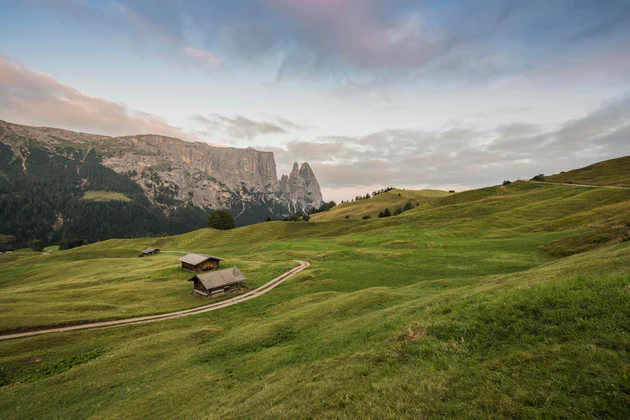 Blick auf die grüne Seiser Alm mit 2 Almhütten