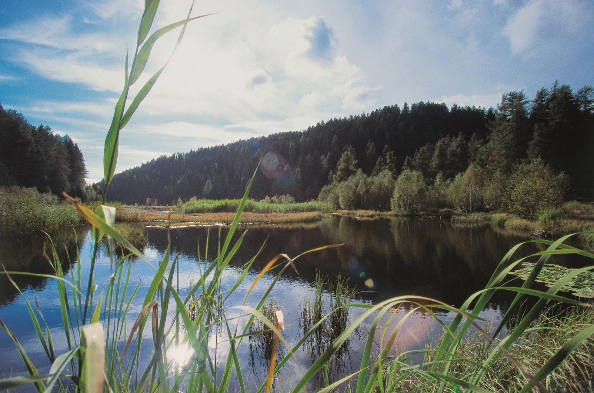 Trudner Horn Nature Park