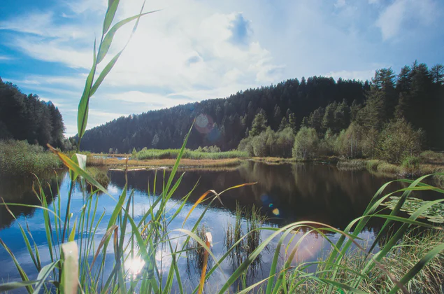 Uitzicht op een meer in het natuurpark Trudner Horn