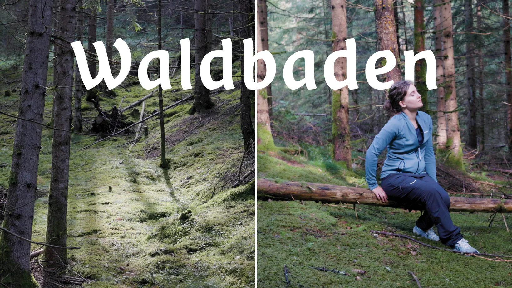 Waldbaden (Forest Bathing) in Südtirol
