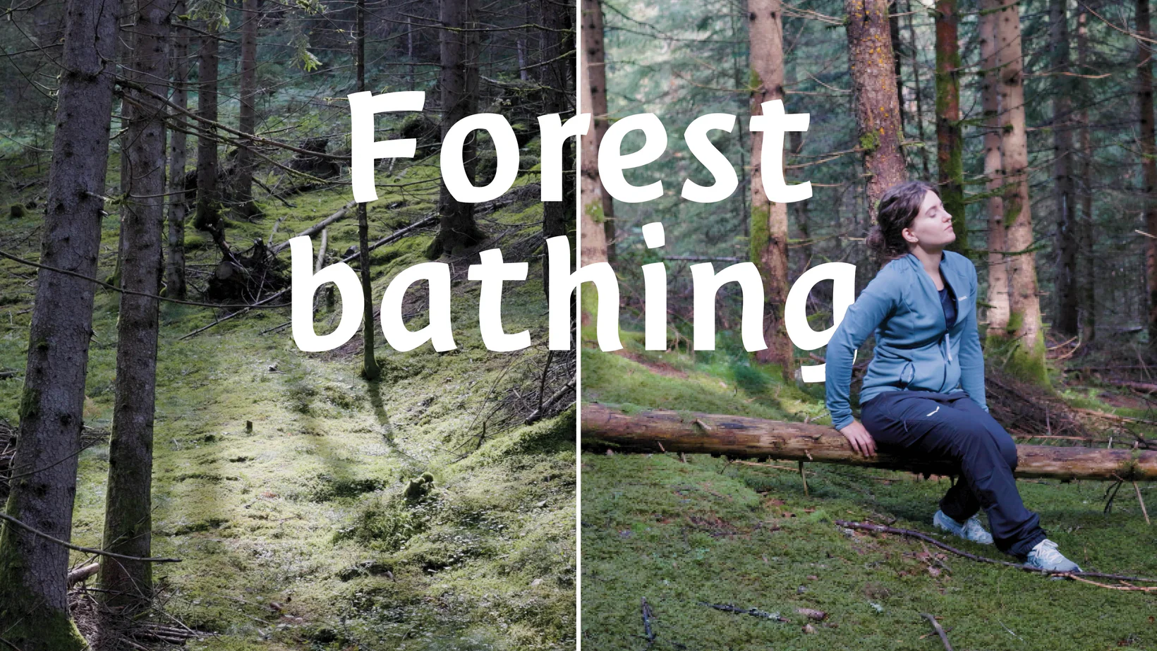 Forest Bathing in South Tyrol