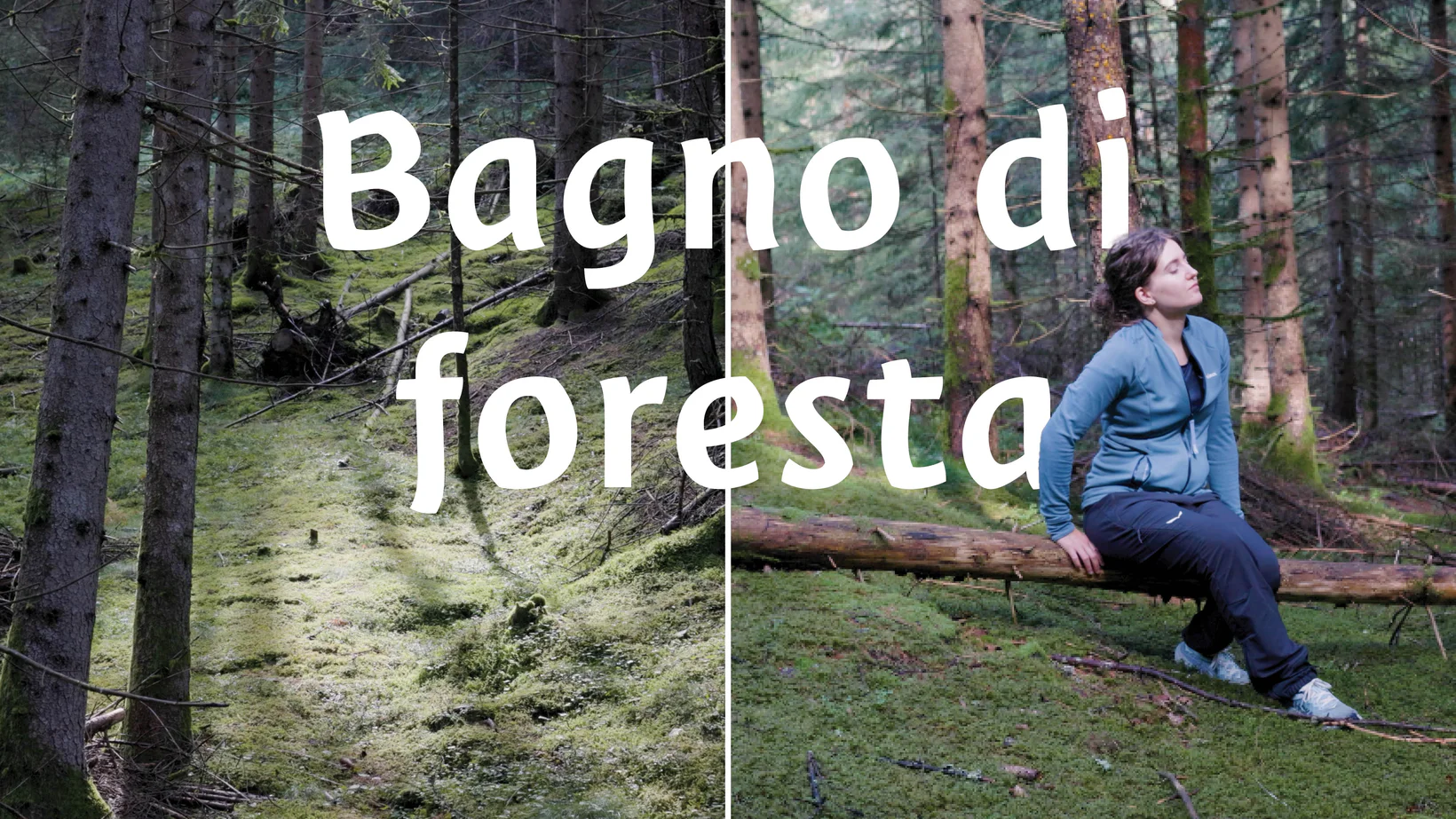Forest Bathing (bagno di foresta) in Alto Adige