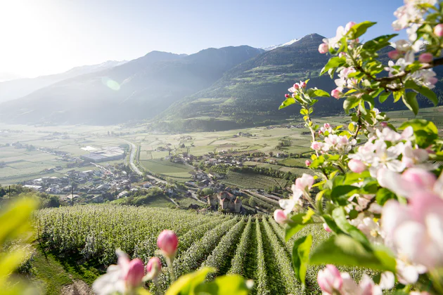 Vue sur une vallée au printemps