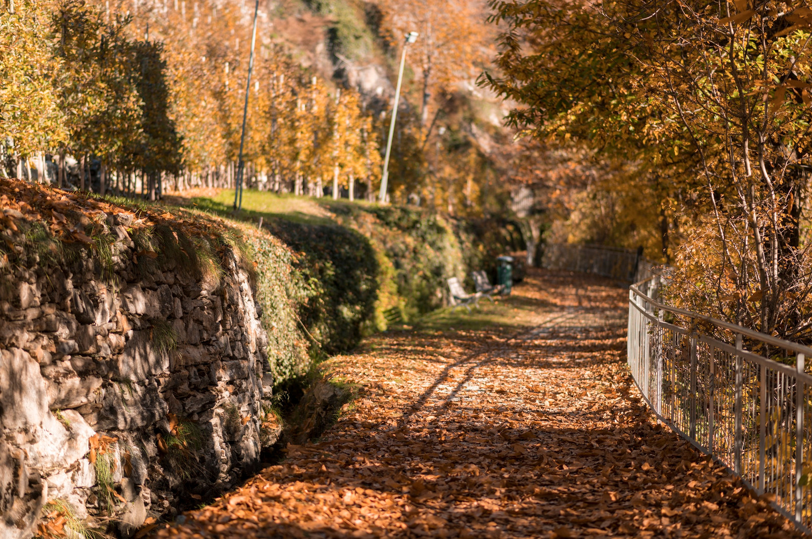 Foliage lungo il sentiero della roggia