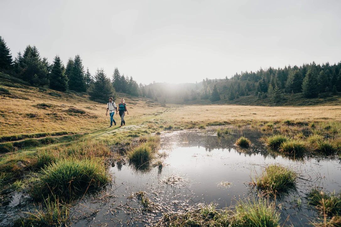 A man and a woman walking across a meadow surrounded by a coniferous forest