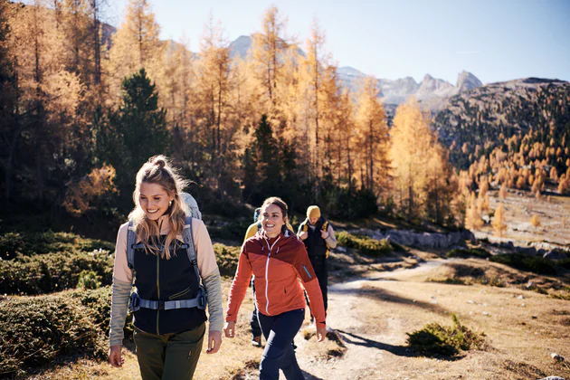 Trois randonneurs dans la forêt en automne