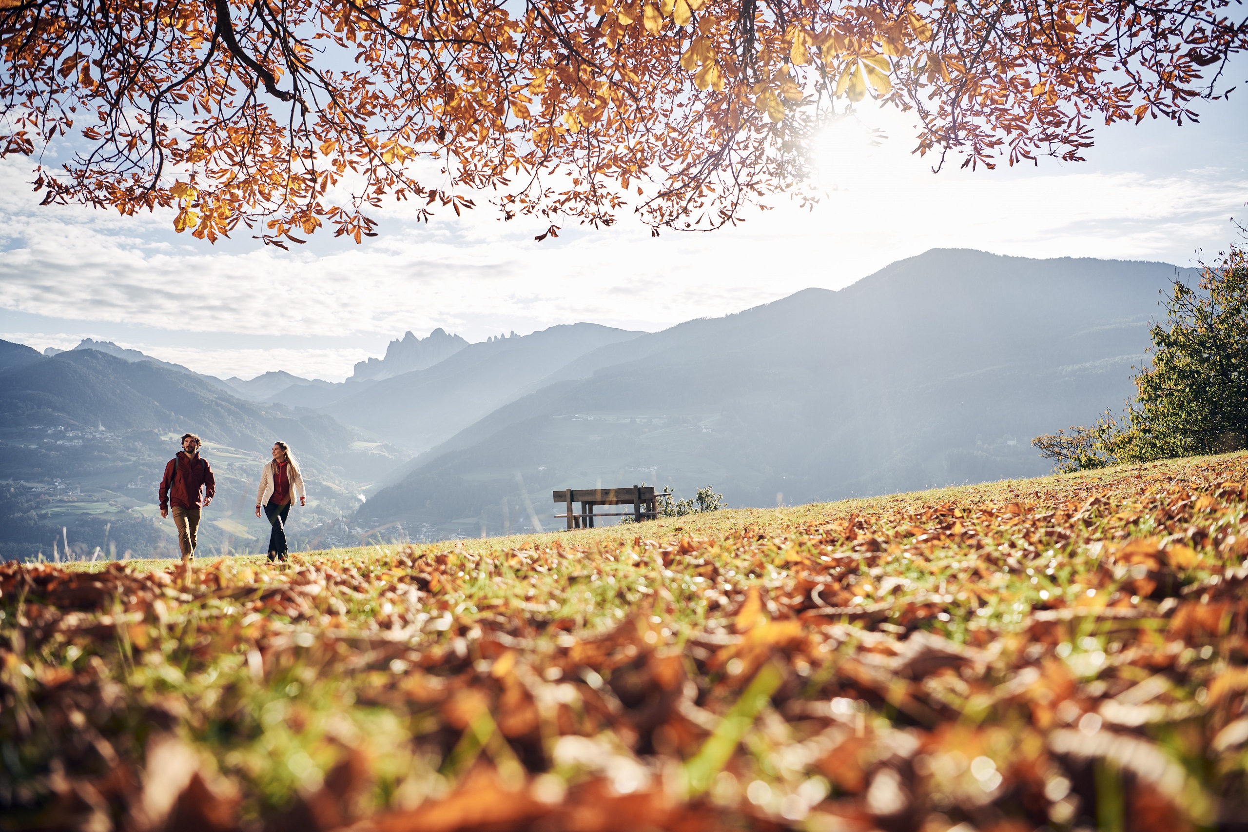 Ein Mann und eine Frau spazieren über eine herbstliche Wiese unter buntem Laub, mit Blick auf sonnige Berglandschaft.