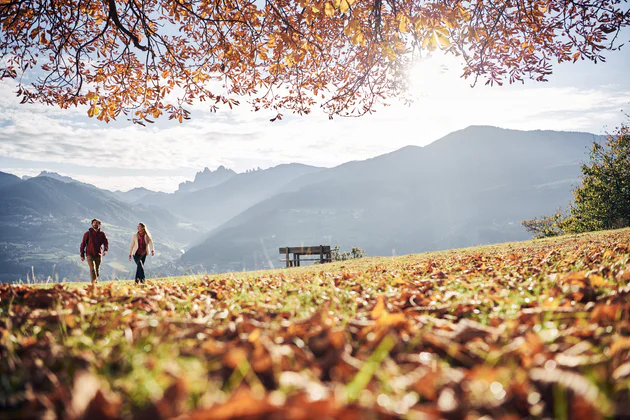 Two people walking across a meadow with a mountain range in the background