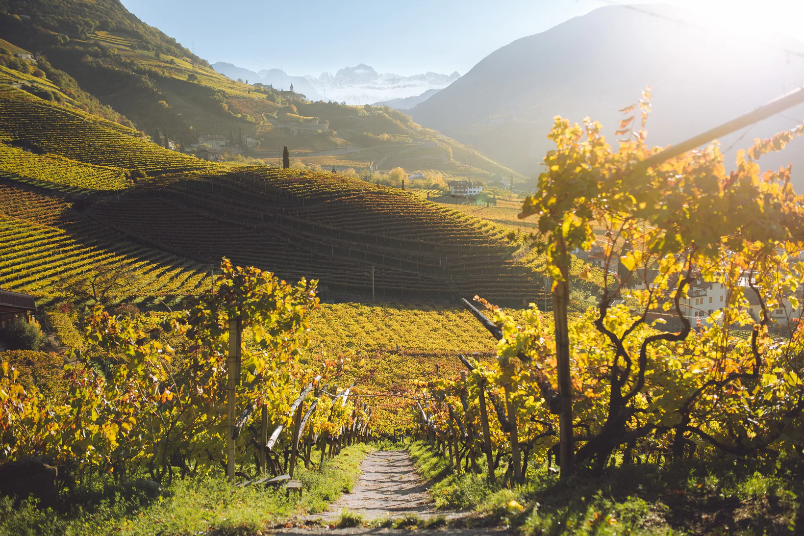 Klicken Sie hier, um sich das Video über den Herbst in Südtirol anzusehen. Der Film zeigt mehrere kurze Sequenzen, in denen einige Menschen im Herbst verschiedene Aktivitäten in Südtirol genießen. Das Video wird ausschließlich von Musik untermalt und enthält keinen gesprochenen Text. 