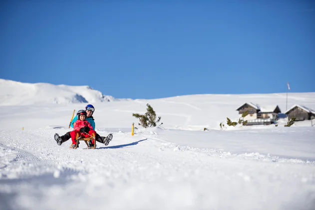 Un papà e il figlio seduti sullo slittino in discesa sulla pista innevata