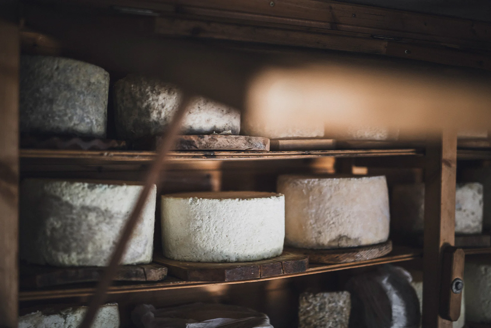 Graukäse della Valle Aurina